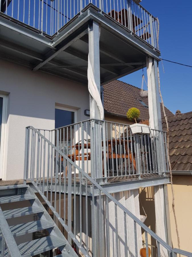 Au Gre De L'Ill 'Les Cigognes' Apartamento Horbourg Exterior foto