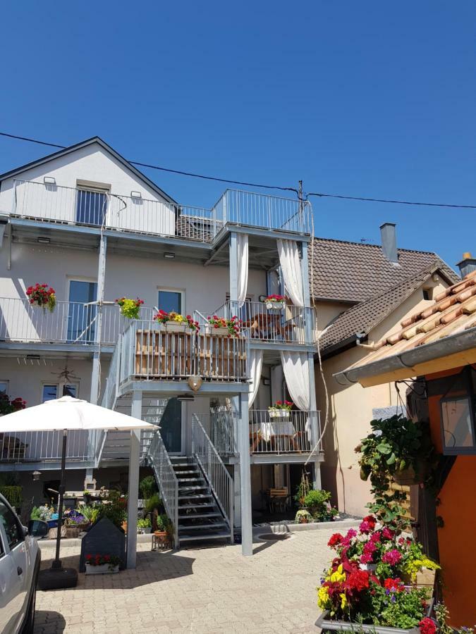 Au Gre De L'Ill 'Les Cigognes' Apartamento Horbourg Exterior foto